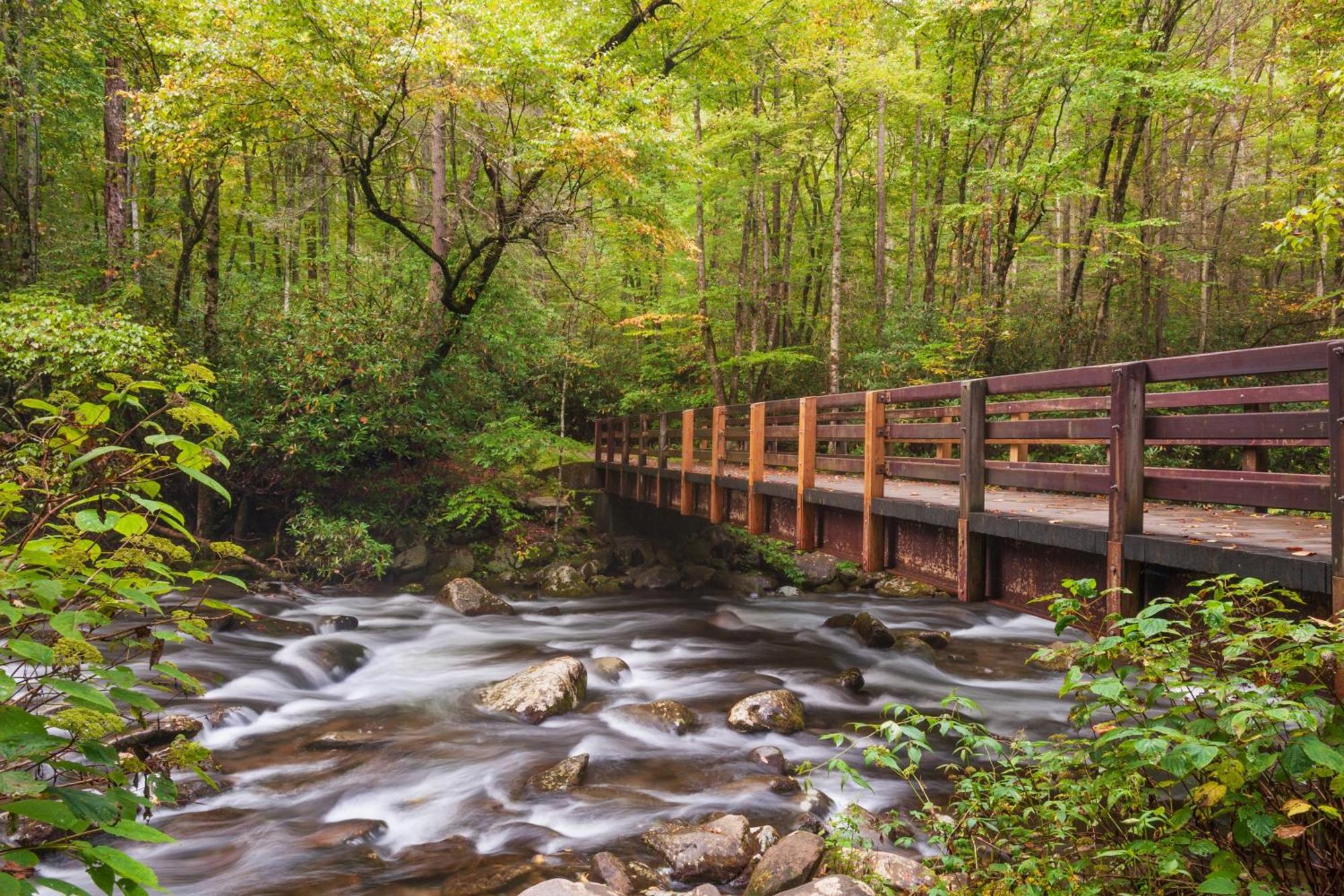 The Tiny Barn, 1089 Free Tickets Each Paid Day, Dollywood And More Сев'єрвілл Екстер'єр фото